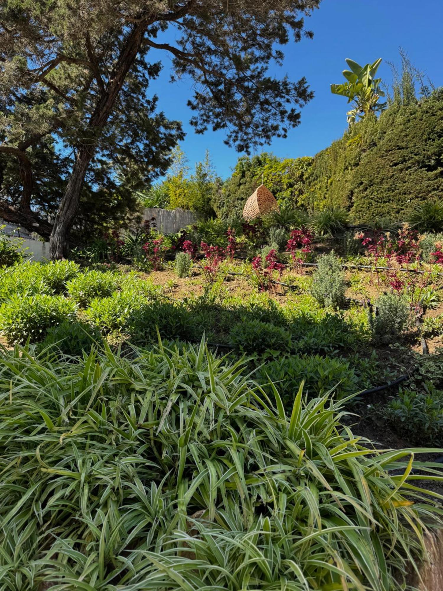 Villa Bliss - Luxury 4-bedroom With Garden, Private Pool & Jacuzzi, Marbesa Near- 5 Min To The Cabopino *